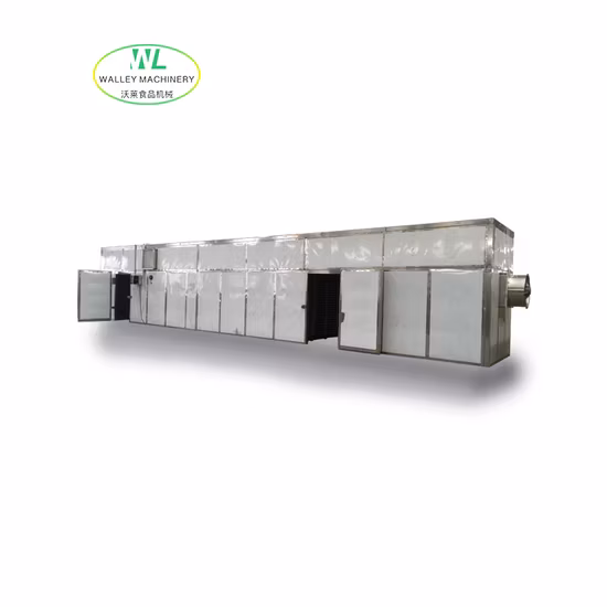Walley Big Scale of Meat and Fish Dryer with Stainless Steel Trays