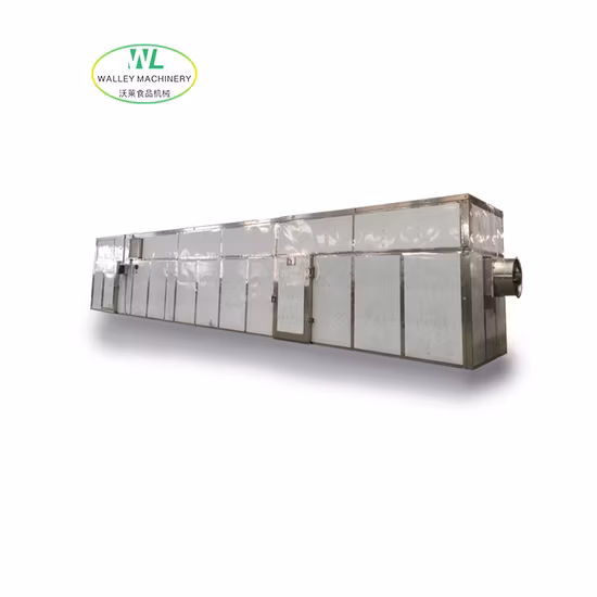 Walley Big Scale of Meat and Fish Dryer with Stainless Steel Trays