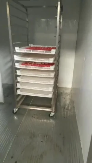 Elektrischer Obsttrockner mit mehreren Temperaturregelungen, Pflaumen-Dörrgerät, Tomaten-Dörrgerät